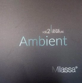 Ambient 2