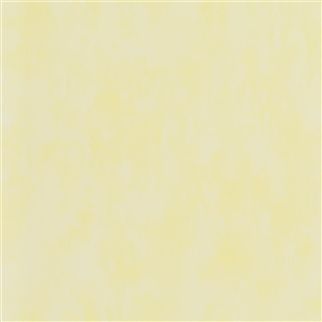 Флизелиновые Designers guild PDG719/32 коллекции Parchment