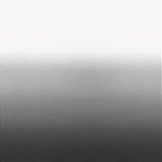 Флизелиновые Designers guild P600/11 коллекции Scenes and Murals