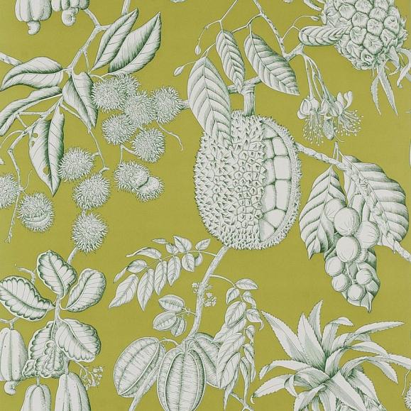 Обои флизелиновые Manuel Canovas 03106-03 коллекции Balangan