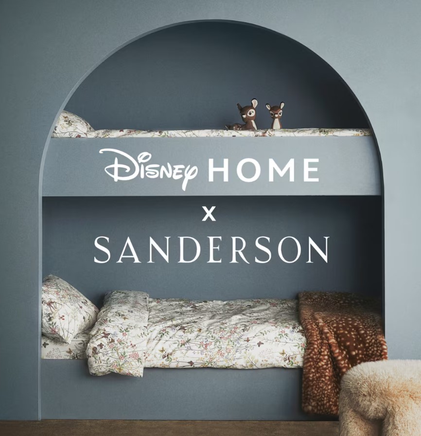 Disney Home X Sanderson