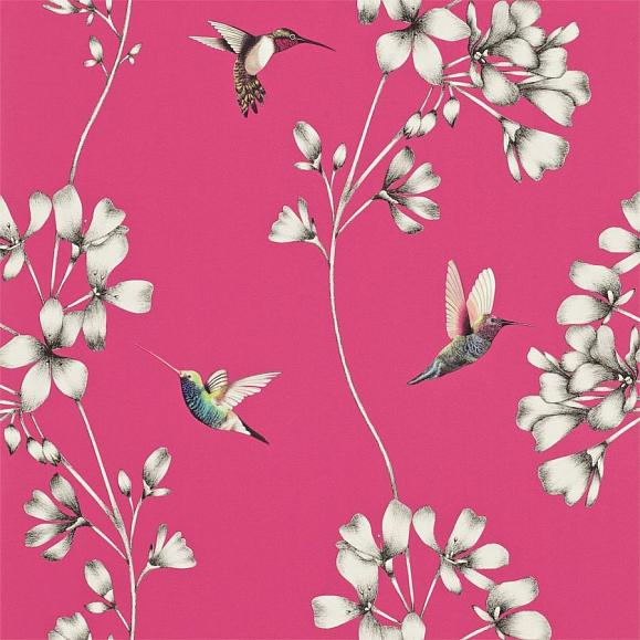 Флизелиновые Harlequin 111058 коллекции Amazilia