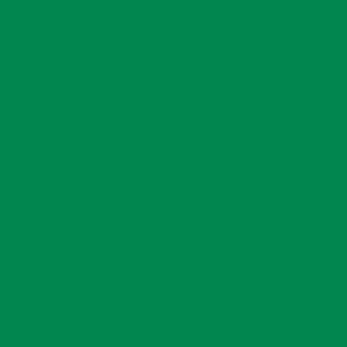 Краска Swiss Lake цвет Traffic green RAL 6024