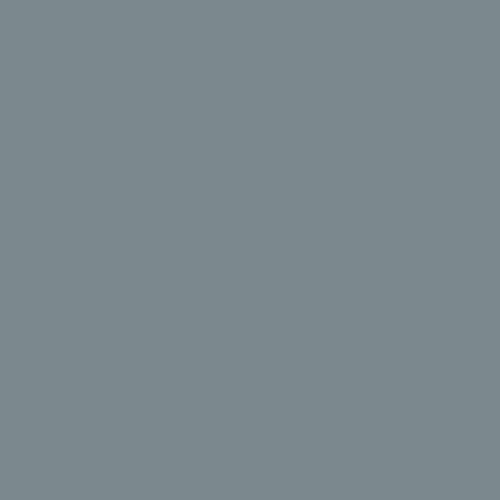Краска Swiss Lake цвет Squirrel grey RAL 7000