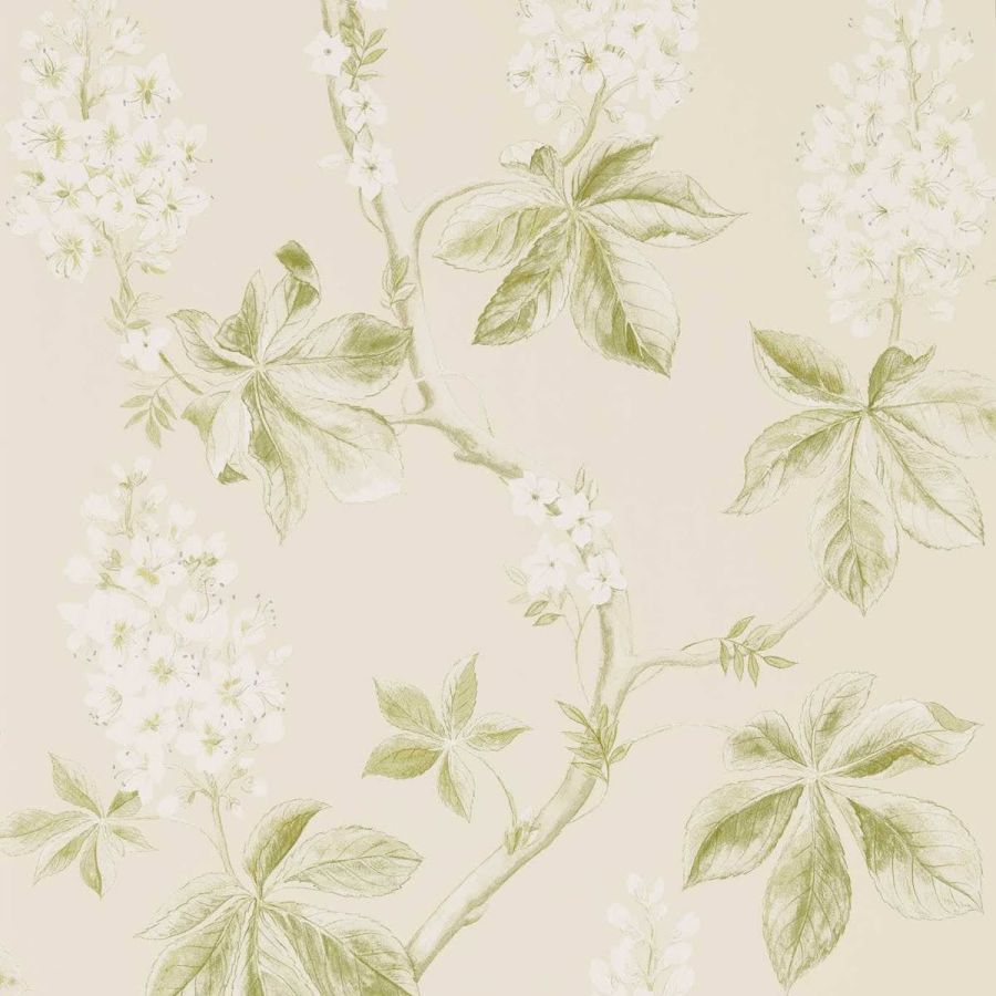 Обои Sanderson DWOW215707 коллекции Country Woodland