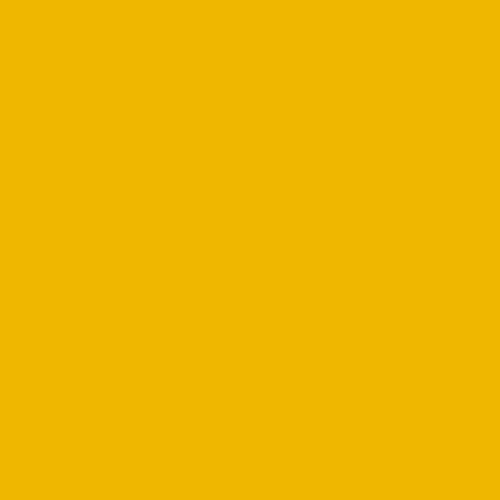 Краска Swiss Lake цвет Traffic yellow RAL 1023