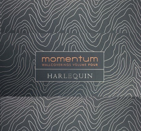 Momentum 4