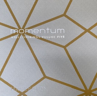 Momentum 5