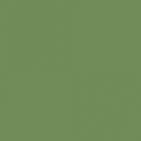 Краска Little Greene цвет Light Brunswick Green