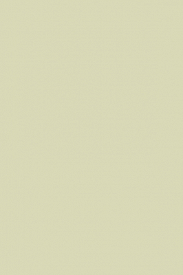 Краска Paint & Paper Library 534 Willow IV