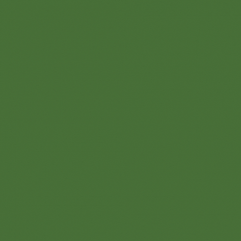 Краска Little Greene цвет Grass green RAL 6010