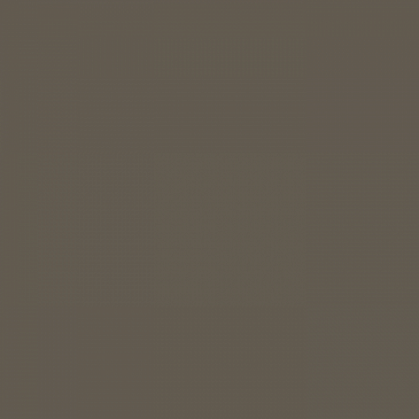 Краска Little Greene цвет Grey Moss 234