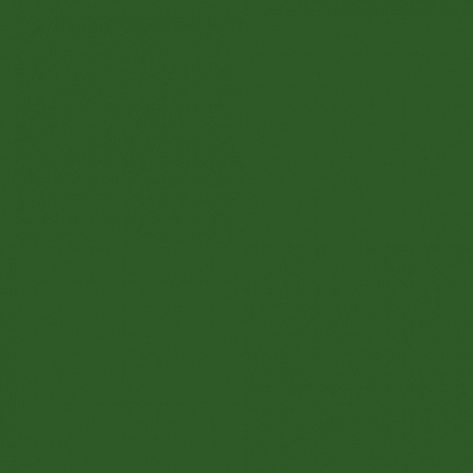 Краска Little Greene цвет Leaf green RAL 6002
