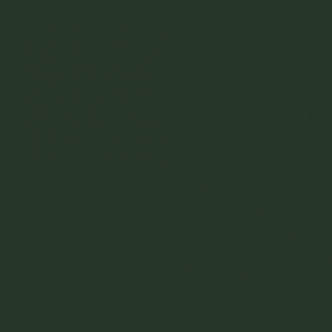 Краска Little Greene цвет Fir green RAL 6009