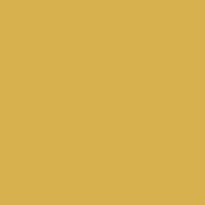 Краска Swiss Lake цвет Daked Pumpkin SL-0985