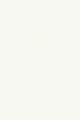 Краска Paint & Paper Library 161 Slate I