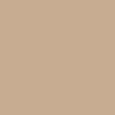 Краска Swiss Lake цвет Rugby Tan SL-0828