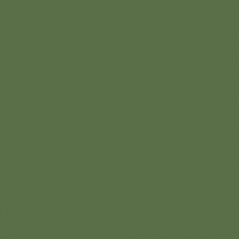 Краска Little Greene цвет Hopper 297