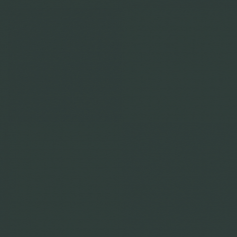 Краска Little Greene цвет Black green RAL 6012
