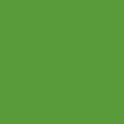 Краска Swiss Lake цвет Yellow green RAL 6018
