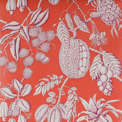 Обои флизелиновые Manuel Canovas 03106-02 коллекции Balangan