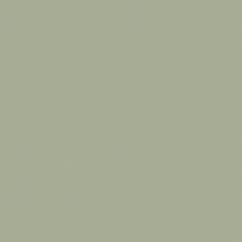 Краска Little Greene цвет Boringdon Green 295