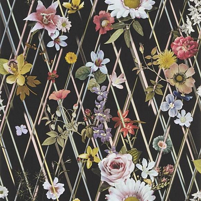 Флизелиновые Christian Lacroix PCL1005/04 коллекции Au Thèâtre Ce Soir