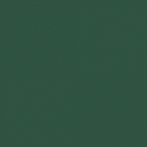 Краска Little Greene цвет Pine green RAL 6028