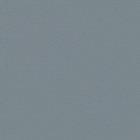 Краска Little Greene цвет Squirrel grey RAL 7000