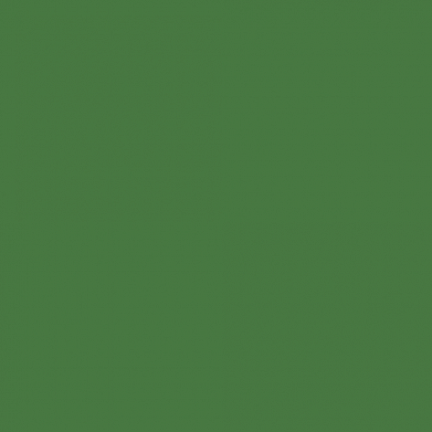 Краска Little Greene цвет Brilliant Green 127