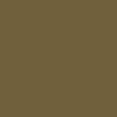 Краска Swiss Lake цвет Khaki grey RAL 7008
