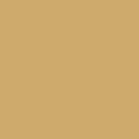 Краска Little Greene цвет Sand yellow RAL 1002