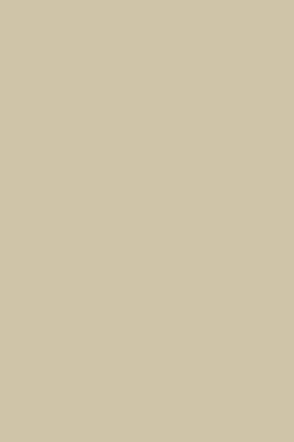 Краска Paint & Paper Library 304 Canvas IV