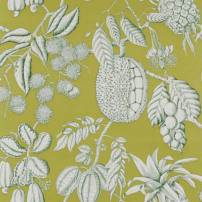 Обои флизелиновые Manuel Canovas 03106-03 коллекции Balangan