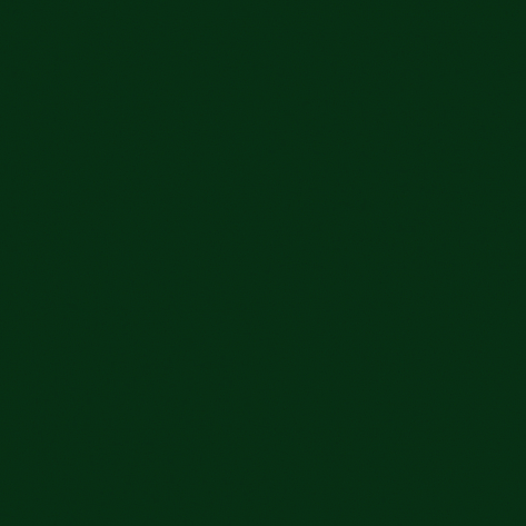 Краска Little Greene цвет Dark Brunswick Green 88