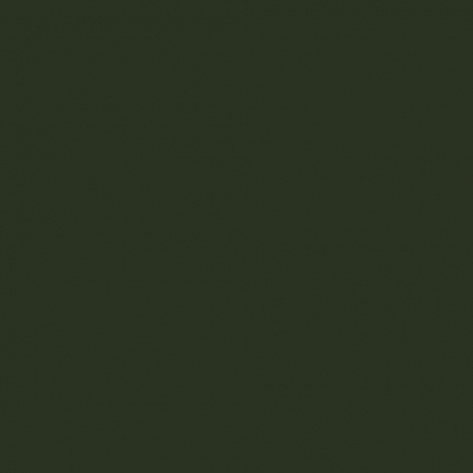 Краска Little Greene цвет Bottle green RAL 6007