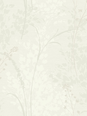 Обои Collins & Company Casa Blanca AW51000