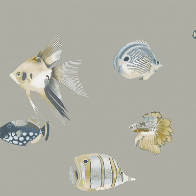 Обои Harlequin Anthozoa 111646