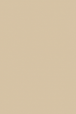 Краска Paint & Paper Library 234 Leather IV