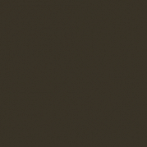 Краска Little Greene цвет Olive drab RAL 6022