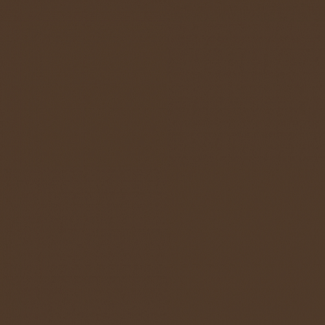 Краска Little Greene цвет Terra brown RAL 8028