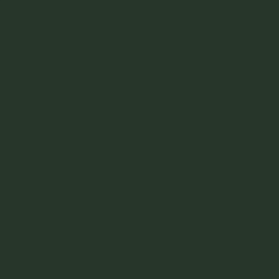 Краска Swiss Lake цвет Fir green RAL 6009