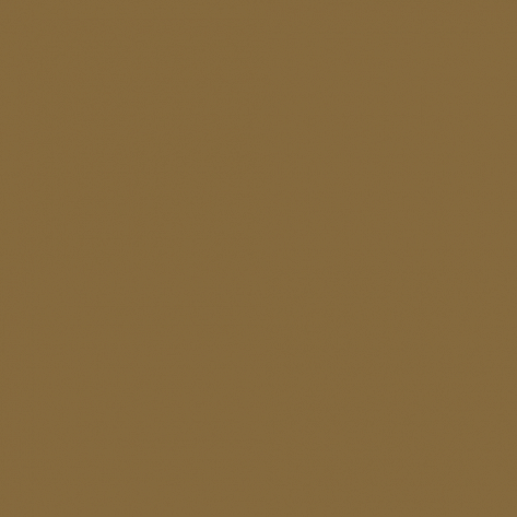 Краска Little Greene цвет Green brown RAL 8000