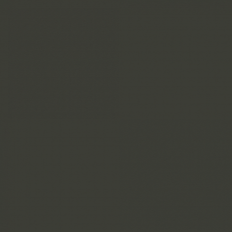 Краска Little Greene цвет Black olive RAL 6015