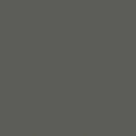 Краска Little Greene цвет Green grey RAL 7009