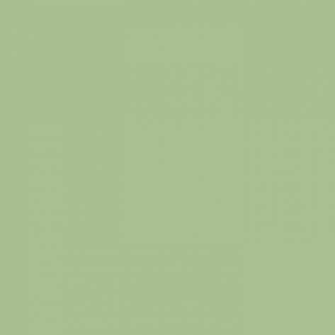 Краска Little Greene цвет Pea Green 91