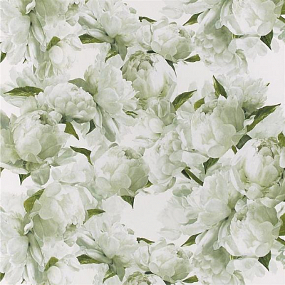 Флизелиновые Designers guild PDG1094/03 коллекции Foscari Fresco