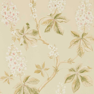 Обои Sanderson DWOW215709 коллекции Country Woodland