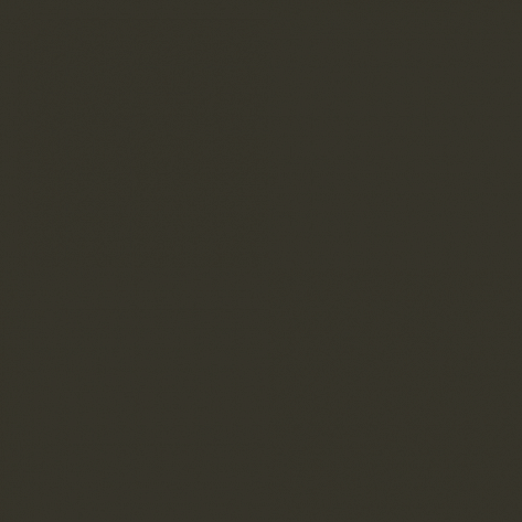 Краска Little Greene цвет Brown green RAL 6008