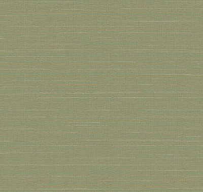 Обои Loymina Ins9 005/1 коллекции Amazonia
